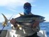 huggy yellowfin tuna